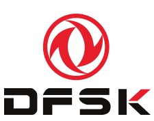 DFSK logo 1